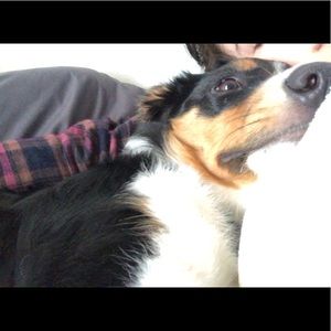 Meet your Posher, Isabelle